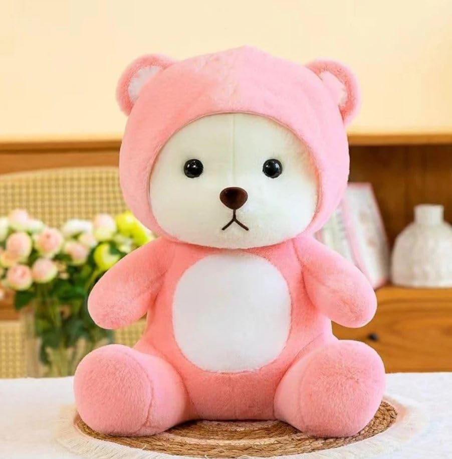 Pink Hoodie Bear