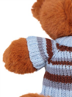 Sweater Teddy
