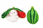 Watermelon Rabbit