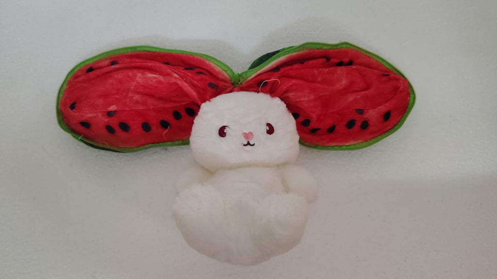 Watermelon Rabbit